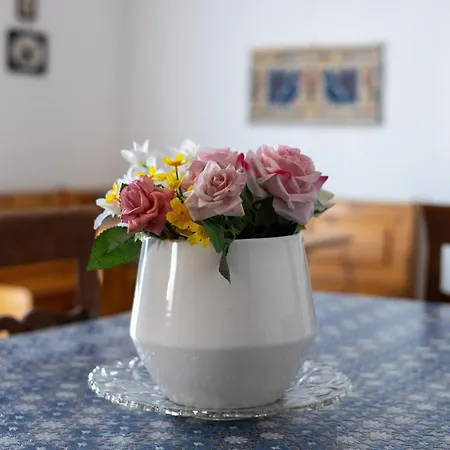 Flamingo House Apartment Càbras